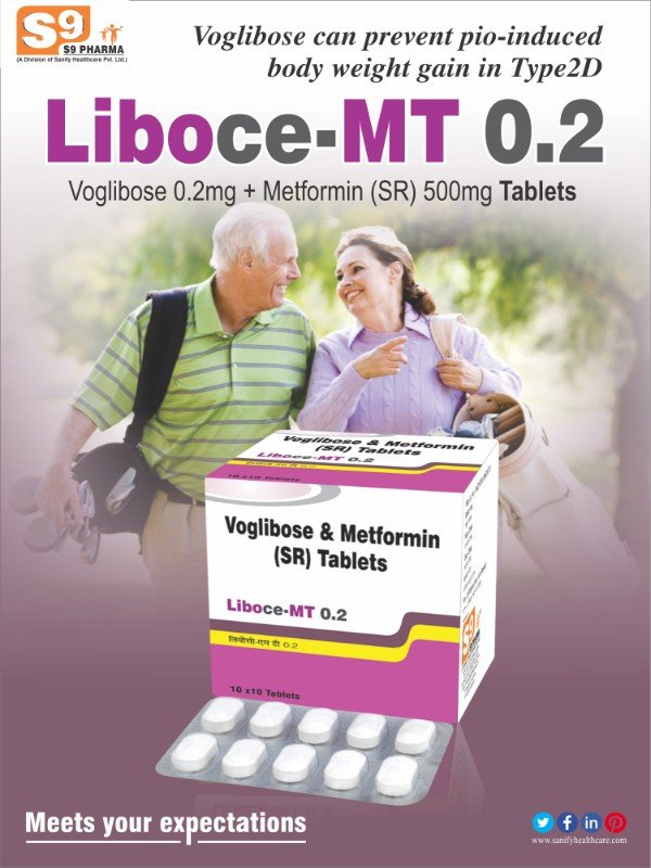 LIboce-MT-0.2